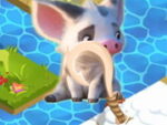 Colecția de Anul Nou Moana