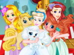 Salon de înfrumusețare Princess Pet