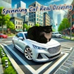 Spinning Cat Conducere reală